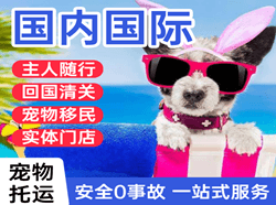秦皇岛空运国际宠物托运 【国